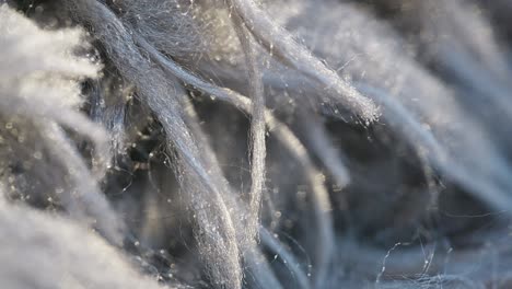 Makro-Video-Zeigt-Texturen-Und-Flor-Eines-Teppichs,-Laufflächen-Und-Stränge-Aus-Nächster-Nähe