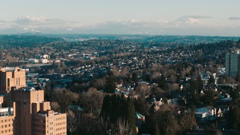 Fliegen-Sie-Am-Pacific-Tower-Vorbei-Und-über-Beacon-Hill,-Um-Einen-Weiten-Blick-Auf-Die-Wohnviertel-Von-Seattle-Zu-Genießen,-Die-Sich-Bis-Zum-Mount-Rainier-Am-Horizont-Erstrecken