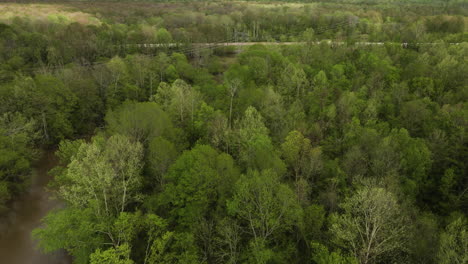 üppige-Vegetation-Bei-William-B