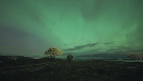 Una-Espectacular-Danza-De-Aurora-Boreal-En-El-Oscuro-Cielo-Invernal