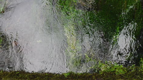 Stream-Flowing-In-Old-Growth-Forest-In-Hall-of-Mosses-Trailhead,-Washington-State,-USA