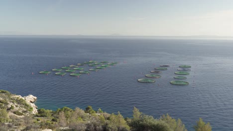 Greek-Fish-Farming-Round-Cages-In-Gulf-of-Aegina,-Mediterranean-Sea-In-Greece