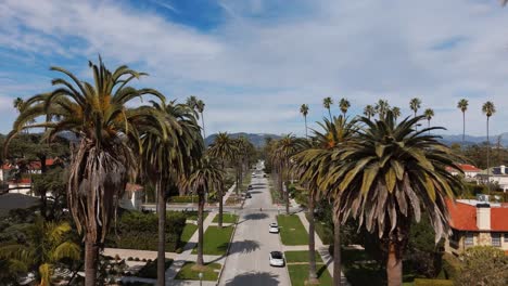 Drone-shot-going-through-Palm-trees-in-Los-Angeles,-California