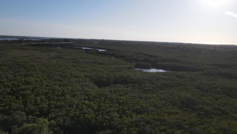 Die-Vielen-Kleinen-Seen-Im-Terra-Ceia-Preserve-State-Park-Palmetto,-Florida