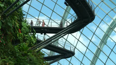 People-stroll-along-the-cloud-forest-aerial-walkway,-the-greenhouse-conservatory-offers-a-stunning-view-of-the-blue-sky-and-indoor-greenery,-Gardens-by-the-Bay,-a-renowned-Singapore-attraction