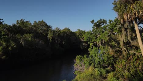 Aerial-view-of-luscious-green-marsh-with-waterway,-Terra-Ceia-state-park,-Florida