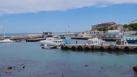 Schwenken-Des-Hafens-Mit-Blick-Auf-Das-Wasser,-Hähne-Und-Boote-In-Hermanus