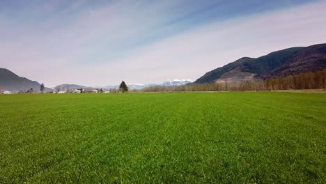 A-large-open-field-within-the-farming-district-of-Mission-with-mountains-and-blue-sky-in-the-background