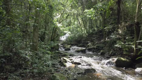 Brasilien-Regenwald-Flussaufwärts-Drohne-Vorwärts