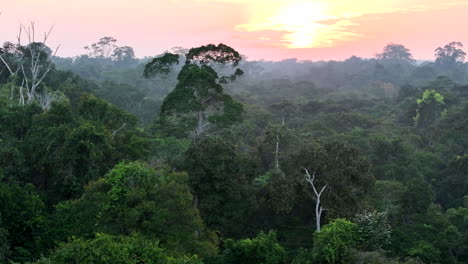 Aerial-footage-of-a-slow-pan-across-the-dense-rainforest