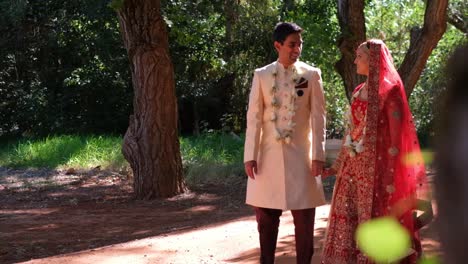 Traditionelles-Indisches-Paar-Trägt-Während-Der-Eheschließung-Prächtige-Kleider-Mit-Naturhintergrund