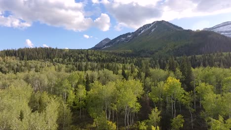 A-drone-captures-the-aspen-trees-of-American-Fork-Canyon-in-Utah-as-the-begin-to-turn-yellow-at-the-beginning-of-autumn