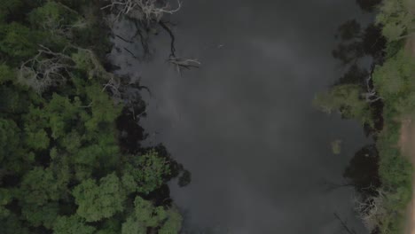 brazil-rainforest-river-drone-aerial-top-view