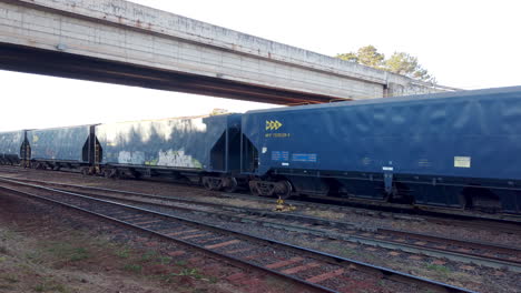 Tren-De-Carga-Lento-De-La-Compañía-Ferroviaria-Mrs-En-El-Puerto-Intermodal