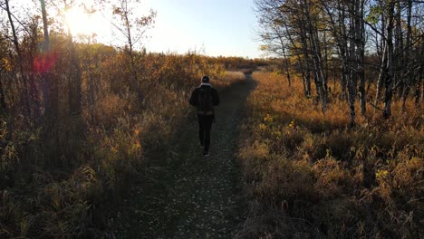 Joven-Caminando-Y-Haciendo-Trekking-Por-Un-Sendero-Forestal-Natural-En-La-Temporada-De-Otoño