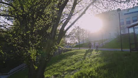 Skateboarder-Die-Auf-Dem-Campus-Laufen