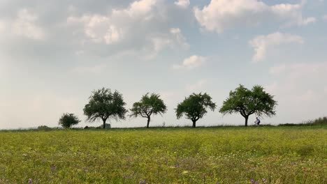 Cyclist-Riding-Bicycle-Passing-By-Four-Trees-in-Scenic-Countryside-Landscape