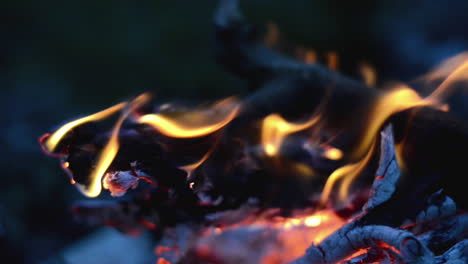 Burning-firewood,-coals,-fire-close-up