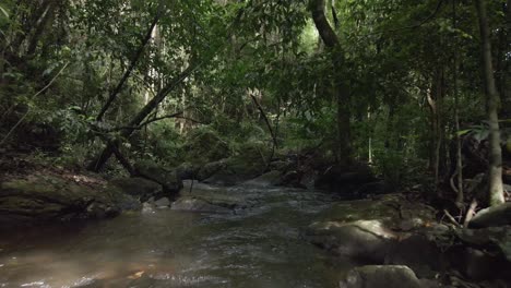 Selva-Tropical-De-Brasil-Río-Abajo-Drone-Empujar-Hacia-Adelante