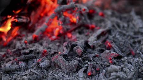 Quemando-A-Cenizas-Fondo-En-La-Naturaleza