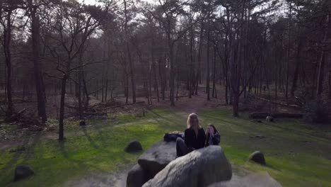 Dolmen-in-Emmen,-the-Netherlands