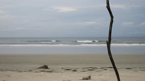 Playa-Desierta-Brasil-Horizonte-Fondo-Trípode-Bloqueado-Enfoque-En-Primer-Plano