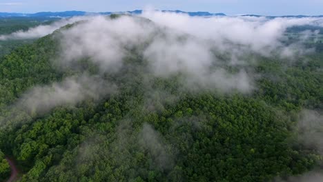 Flying-through-low-white-clouds-above-green-forest-of-the-Great-Smoky-mountains