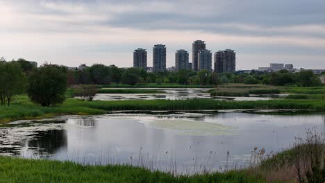 Perspectiva-Primaveral-De-Drones:-Refugio-Para-Aves-En-Medio-De-Una-Belleza-Verde,-Bucarest,-Rumania