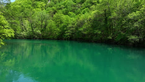 Clear-green-river-flows-through-a-forest-full-of-fresh-spring-leaves,-captured-from-above