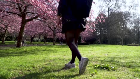 Girl-walking-towards-cherry-trees-in-slowmotion-during-sakura-festival