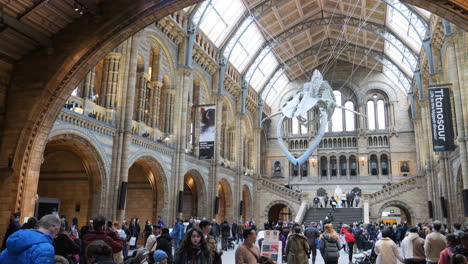 Aglomeración-De-Gente-Visitando-La-Sala-Principal-Del-Museo-De-Historia-Natural-De-Londres,-Inglaterra