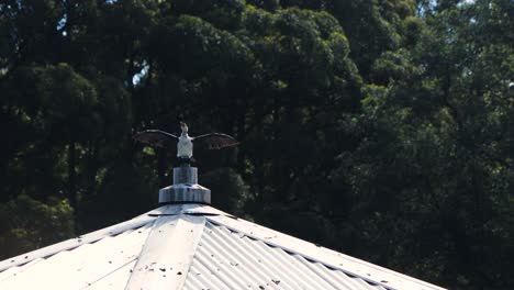 Kormoran-Breitet-Seine-Flügel-Auf-Einem-Pavillon-Mit-Bäumen-Dahinter-Aus