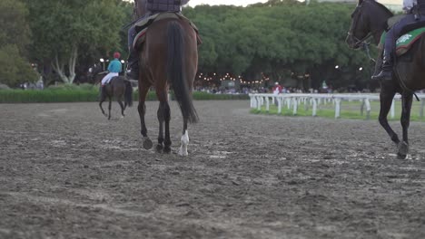 Racing-horse-on-racetrack-in-Buenas-Aires-in-slow-motion