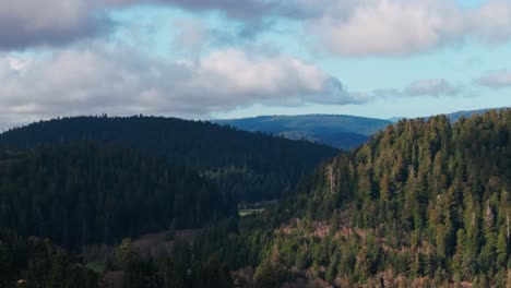 Drone-shot-flying-in-toward-the-redwood-forest-in-northern-California-with-clouds