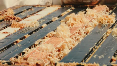 Beekeeper-putting-back-frame-with-hexagon-honeycomb-and-lifting-beehive,-close-up