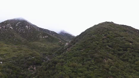 Niebla-Arrastrándose-Sobre-Montañas-Densamente-Boscosas