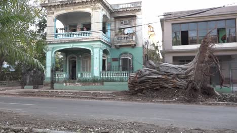 A-tree-that-fell-on-the-road-after-cyclone-Irma-hit-Havana,-Cuba