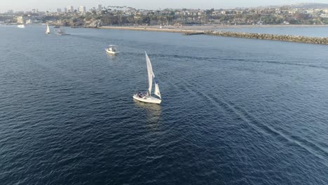 Aerial-pull-away-shot-of-a-white-sailboat-heading-out-of-the-Newport-Harbor-over-calm-ocean-waves-revealing-Corona-Del-Mar,-California