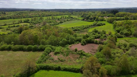 Ländliche-Landschaft-Und-Oradour-Wald-In-Der-Französischen-Landschaft