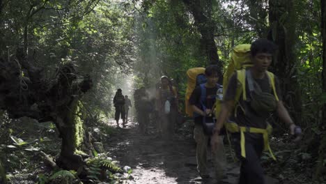 Bunch-of-people-walking-in-tropical-forest