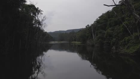 Brasilien-Regenwald-Fluss-Drohne-Luft-Vorwärts-Schieben