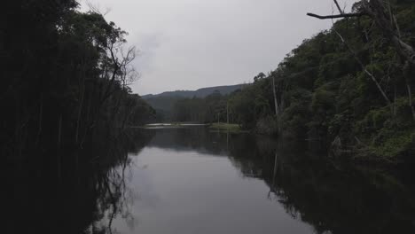 Brasil-Selva-Tropical-Río-Drone-Aéreo-Hacia-Adelante-Empuje-Lento