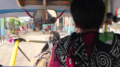 Riding-horse-carriage-at-Gili-Trawangan,-Lombok-Indonesia