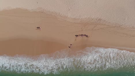 Leute-Sitzen-Im-Sand-In-Der-Nähe-Des-Ozeans-Am-Strand-Von-Acapulco