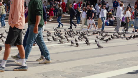 Belebter-Mailänder-Platz-Mit-Fußgängern-Und-Tauben
