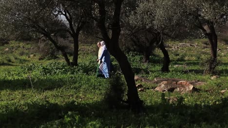 Bibleperson-walking-in-the-forest-of-Israel