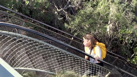 Wanderin-Schafft-Es-Bis-Zum-Gipfel-Der-Steilen-Stufen-Der-Blue-Mountains-In-Australien