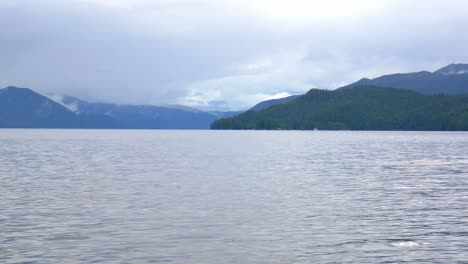Maravillosa-Toma-De-Seguimiento,-Primer-Plano,-De-Una-Manada-De-Orcas-Nadando-Y-Respirando-Alrededor-De-La-Isla-De-Vancouver,-Canadá