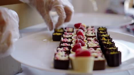 Close-up-of-caterer-with-plastic-gloves-preparing-dessert-buffet-table