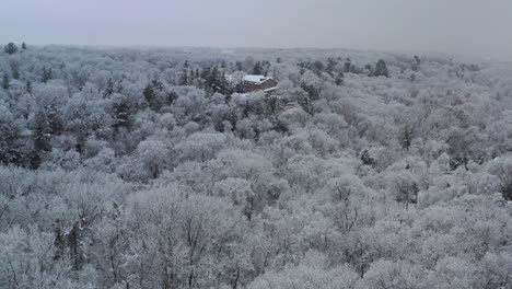 Volando-Sobre-Las-Copas-De-Los-árboles-Hacia-La-Cabaña,-Paisaje-Invernal-Nublado,-Vista-Aérea